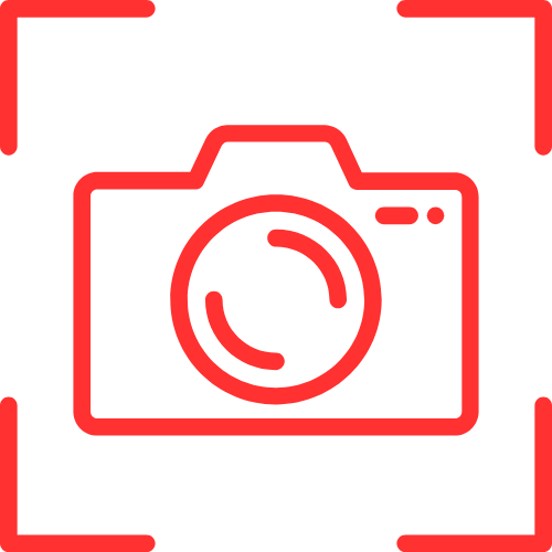 Royal Cams Adult
